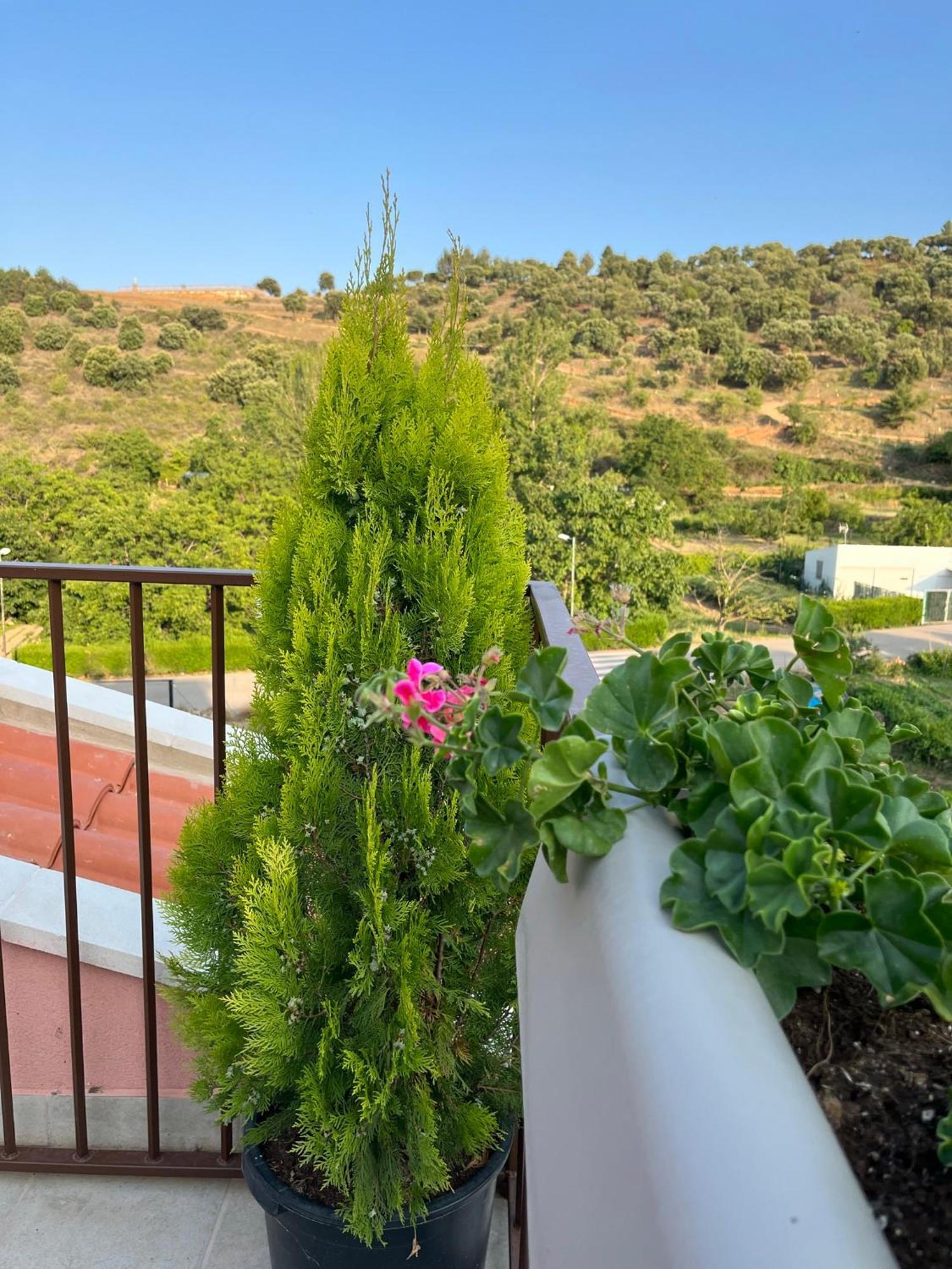 Apartamentos La Flor San Martín de Moncayo Εξωτερικό φωτογραφία